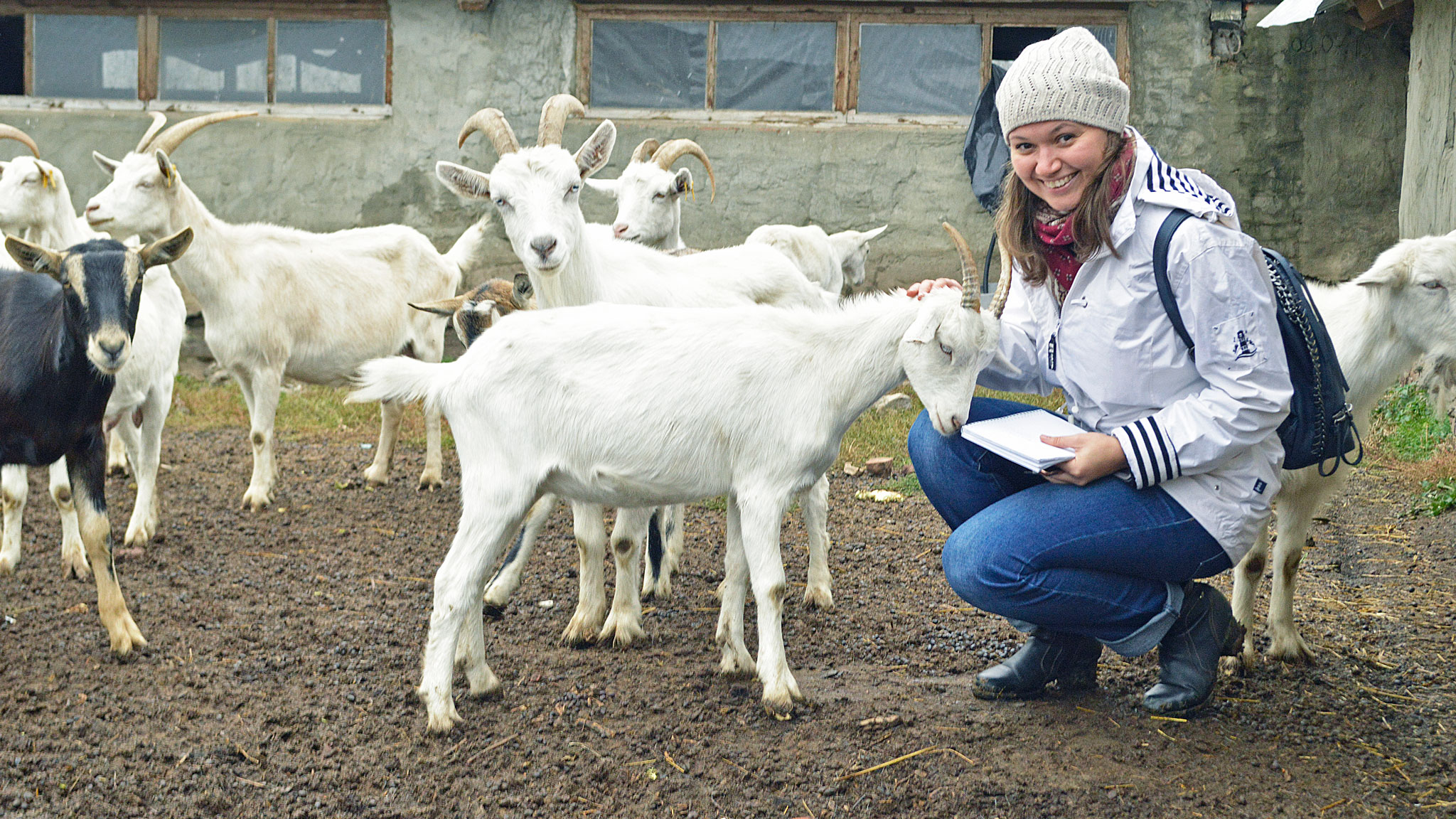 Репортаж с фермы готовит журналист Елена Куликова