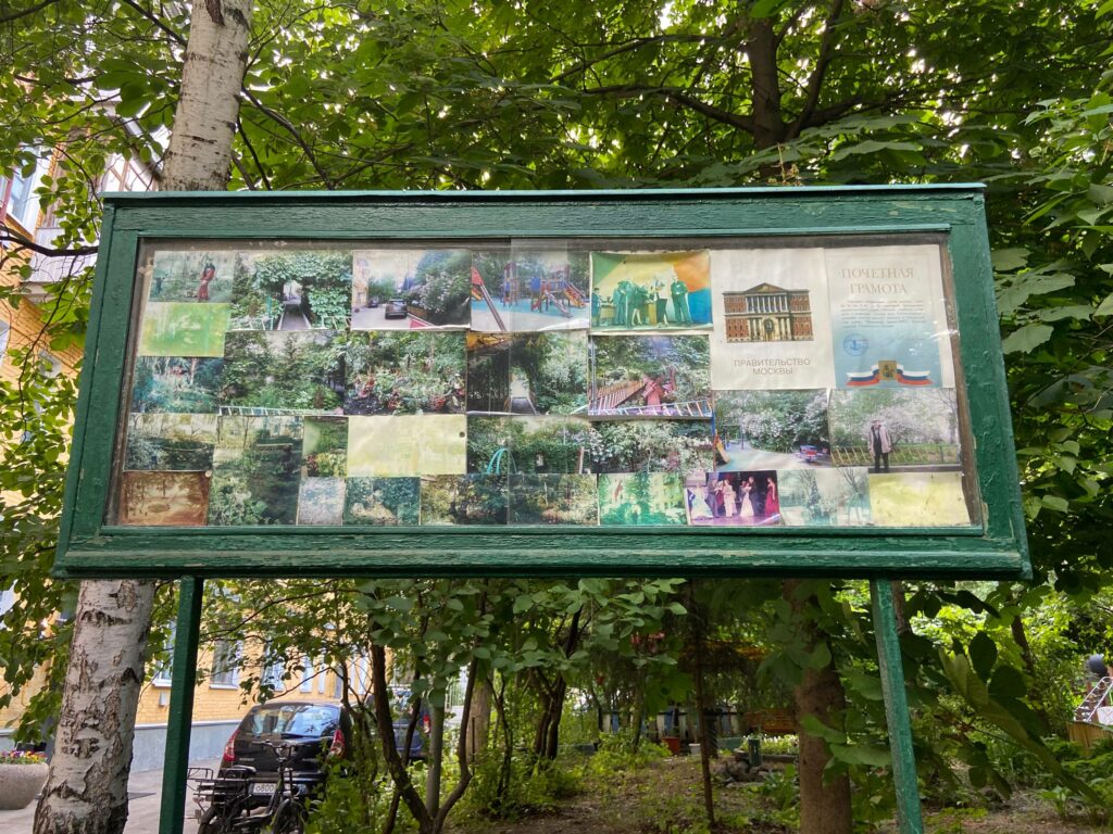 Фото для сайта